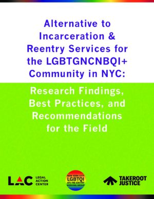 Alternative to Incarceration & Reentry Services for the LGBTGNCNBQI+ Community: Research Findings, Best Practices and Recommendations for the Field